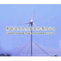 300w wind generator